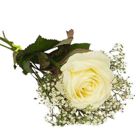 Begravning handblomma med en vit ros, brudslöja - Handblommor - Vackra Begravningsblommor