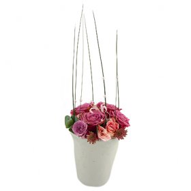 Cool Water - Blomsterdekorationer - Skicka blommor med blombud - Flowerhouse