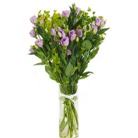 Prärieklockor - Välj önskad färg - Buketter - Skicka blommor med blombud Flowerhouse