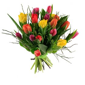 Tulpaner med blåbärsris - Tulpaner - Skicka blommor med blombud - Flowerhouse