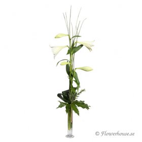 Elegance - En enkel gåva - Skicka blommor med blombud - Flowerhouse