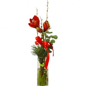 Amaryllis solitär - Julblommor - Skicka Julblommor med blombud Flowerhouse