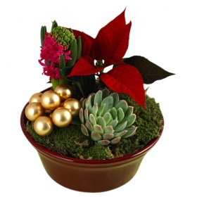 Tradition - Julblommor - Skicka blommor med blombud - Flowerhouse