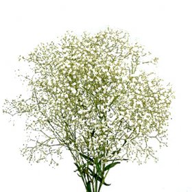 Brudslöja - Tillvalsprodukter - Skicka blommor med blombud - Flowerhouse