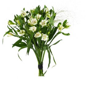 Alstromeria - Buketter - Skicka blommor med blombud - Flowerhouse