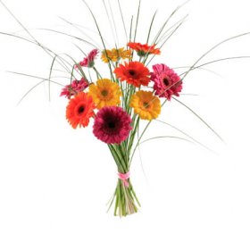 Fyrverkeri - Buketter - Skicka blommor med blombud - Flowerhouse