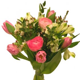 Vårlängtan - Tulpaner - Skicka blommor med blombud