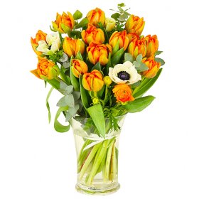 Lovande - Tulpaner - Skicka blommor med blombud - Flowerhouse