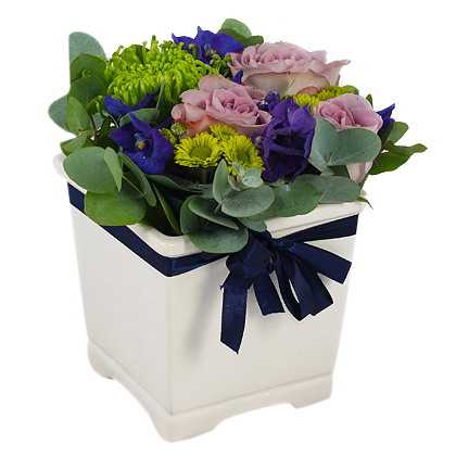 Till en liten prins - Blommor till Nyfödda - Skicka blommor med blombud - Flowerhouse