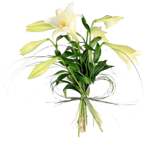 Lilja - Buketter - Skicka blommor med blombud - Flowerhouse