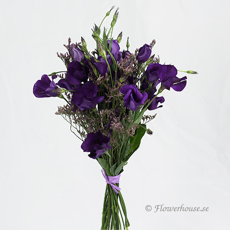 Prärieklockor - Buketter - Skicka blommor med blombud - Flowerhouse