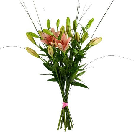 Liljor - Buketter - Skicka blommor med blombud - Flowerhouse
