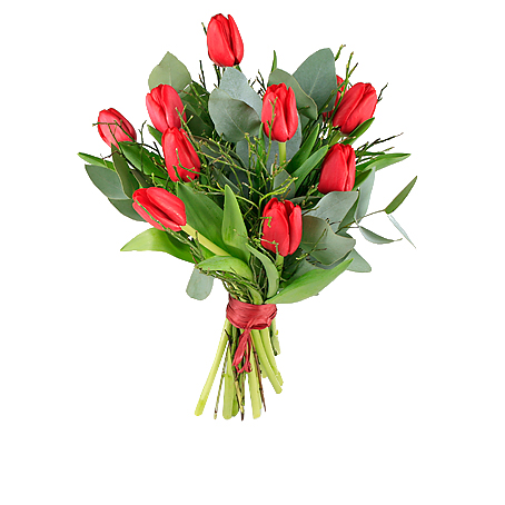 Röda tulpaner - Tulpaner - Skicka blommor med blombud