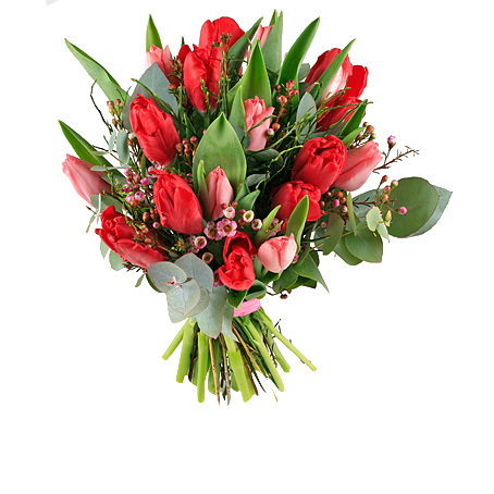 Love Tulpaner - Tulpaner - Skicka blommor med blombud - Flowerhouse