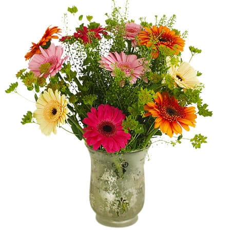 Glada germini - Buketter - Skicka blommor med blombud Flowerhouse