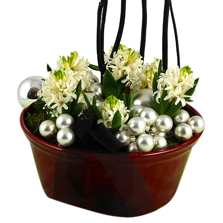 Gnistrande hyacinter - Julblommor - Skicka blommor med blombud - Flowerhouse
