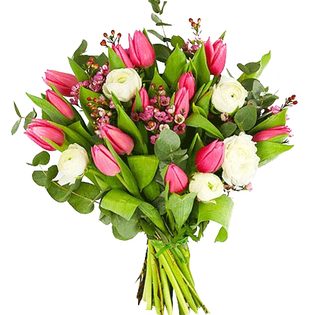 Rosa Tulpaner - Tulpaner - Skicka blommor med blombud - Flowerhouse