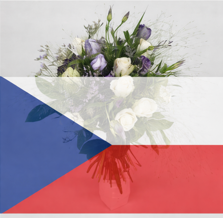 Skicka Blommor Tjeckien - Flowerhouse